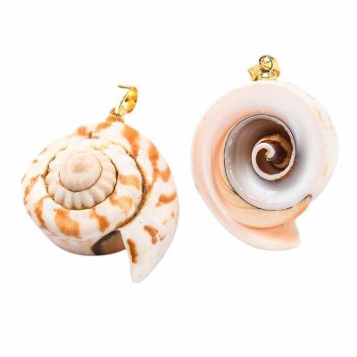 Подвеска Ракушка натуральная 25 мм, 32.110